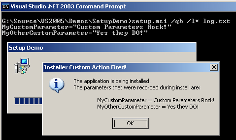 installshield custom action command line parameters